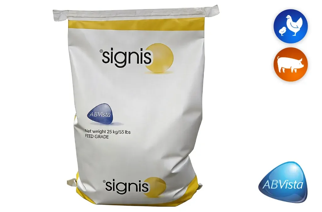 Signis
